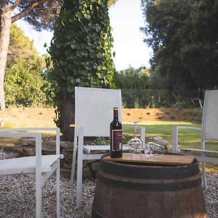Podere San Filippo B&B-Apartment-Pet Friendly-Rent Bike And Bike Friendly ビッボーナ エクステリア 写真